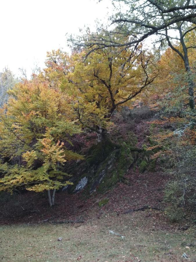 La Casa Emboscada Villa Horcajo de la Sierra Kültér fotó